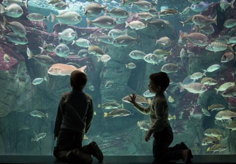 Cretaquarium Cretaquarium