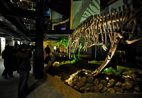 Natural History Museum of Crete Natural History Museum of Crete
